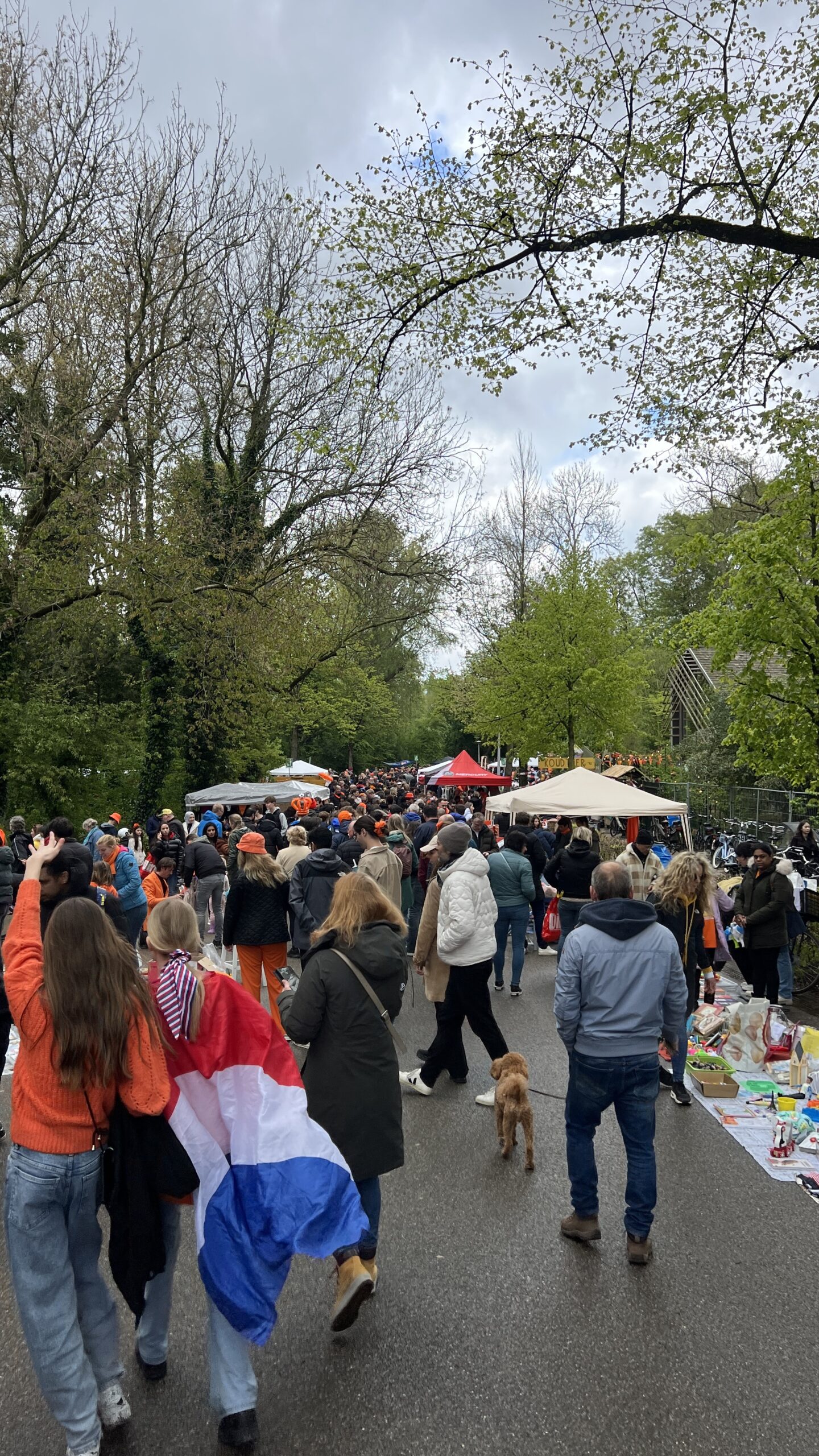 Kings Day Vondelpark